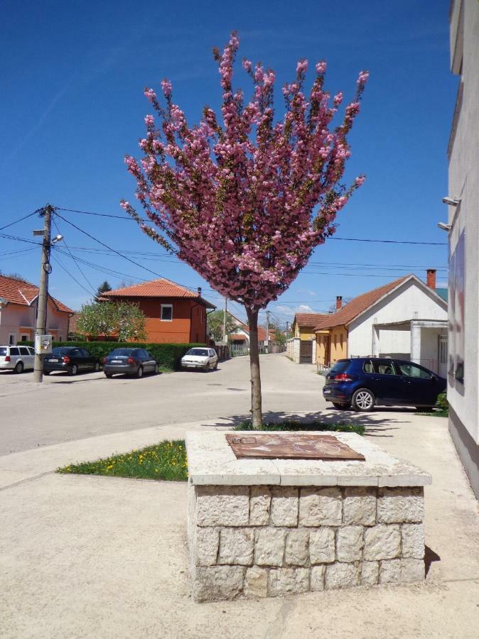 Appartement Apartman Bedem à Nikšić Extérieur photo